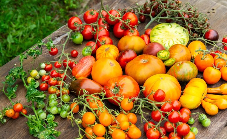 Kiš Miš ar Rozīnēm ( 10 tomātu sēklas)